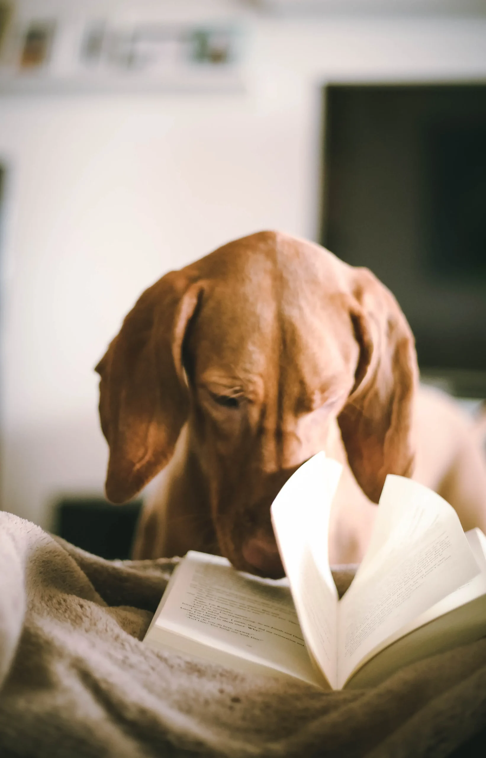 COLEA Dog book