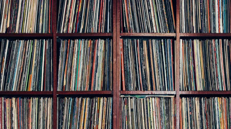 COLEA vinyl shelves